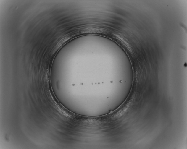 X0000091001033200708241444