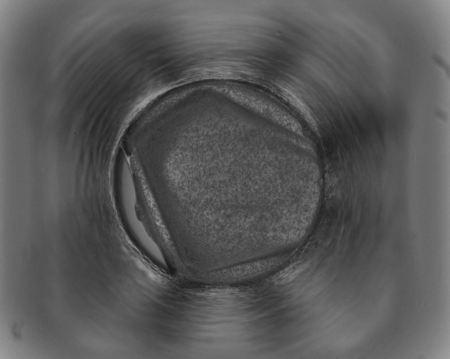 X0000091001035200708241444