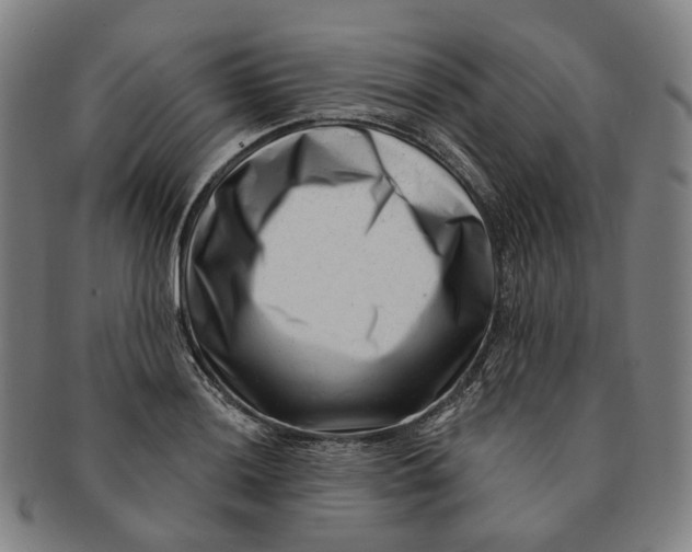 X0000091001036200708241444
