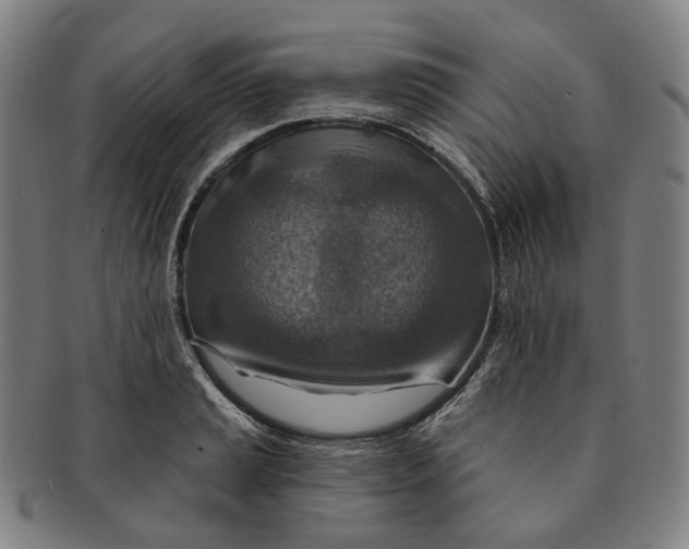 X0000091001037200708241444