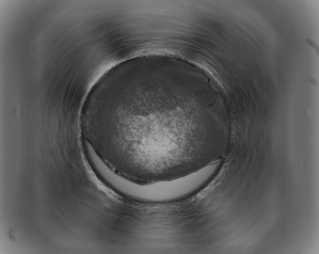X0000091001038200708241444