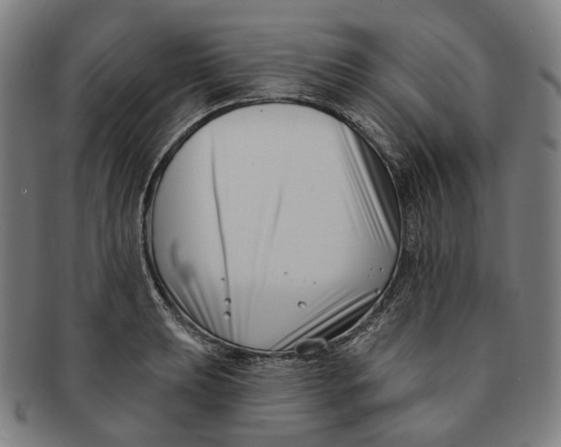X0000091001039200708241445