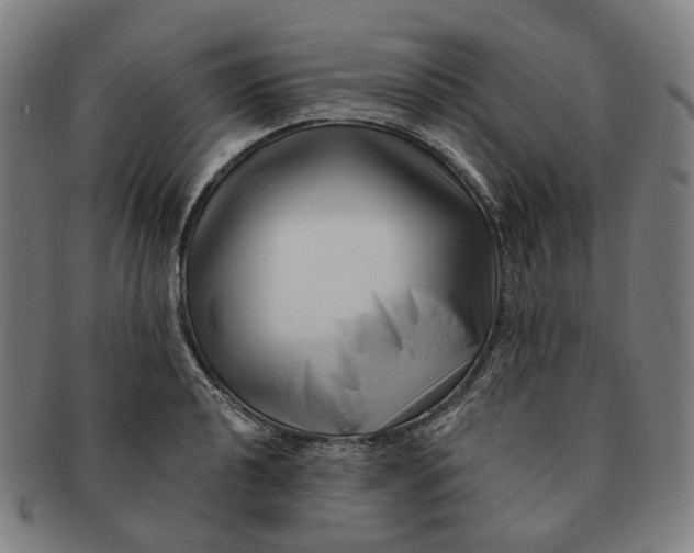 X0000091001040200708241445