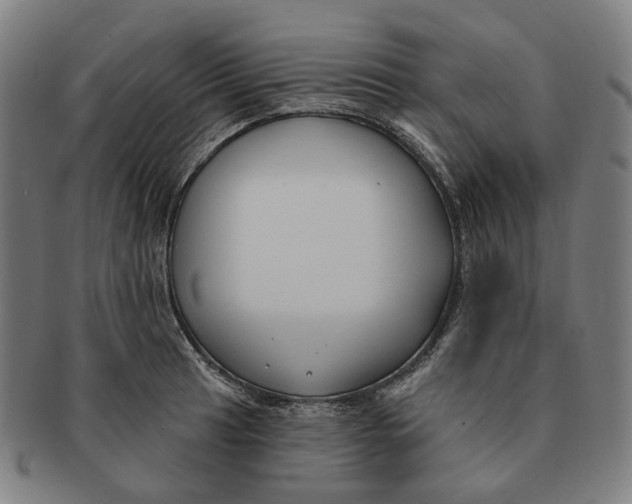 X0000091001041200708241445