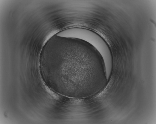 X0000091001042200708241445