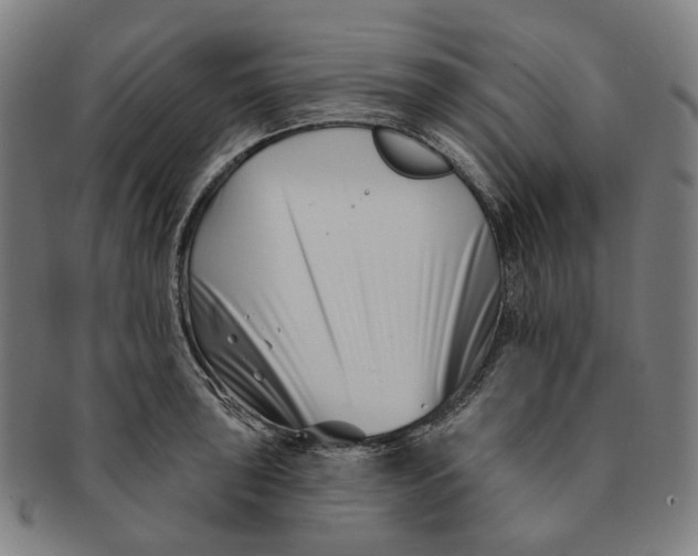 X0000091001043200708241445
