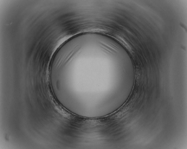 X0000091001044200708241445