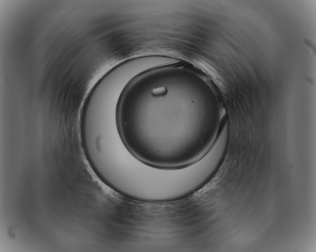 X0000091001046200708241445
