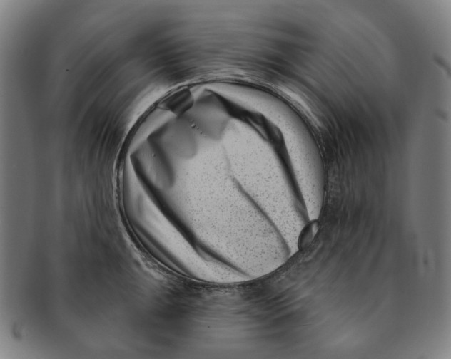 X0000091001047200708241445
