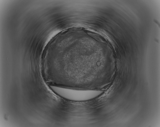 X0000091001048200708241445