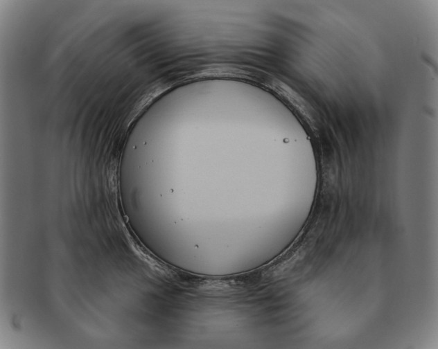 X0000091001049200708241445