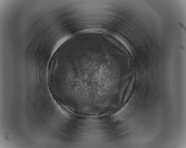 X0000091001050200708241445