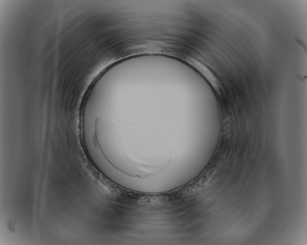 X0000091001051200708241445