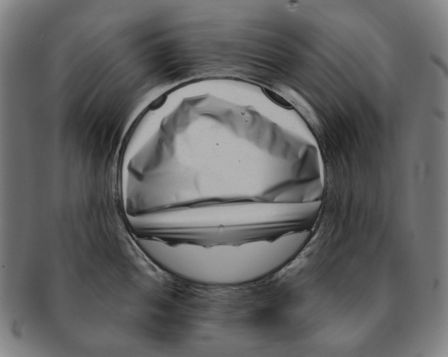 X0000091001052200708241445