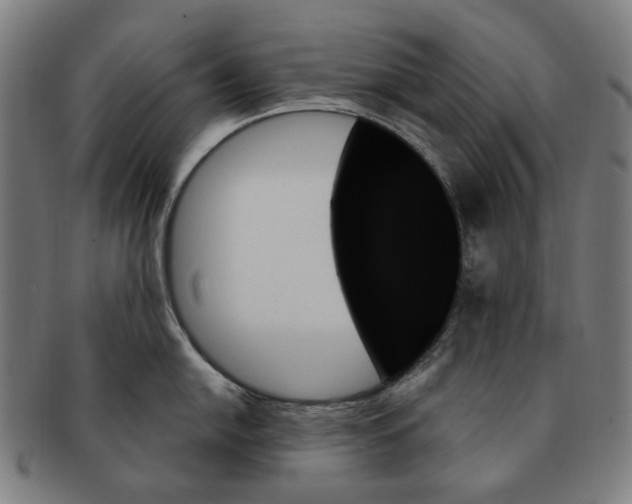 X0000091001054200708241445