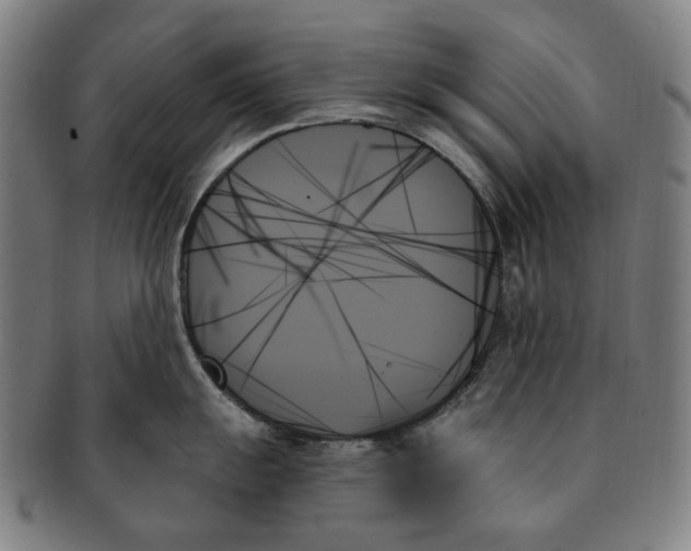 X0000091001055200708241445