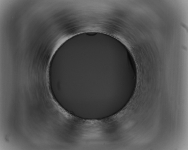 X0000091001056200708241445