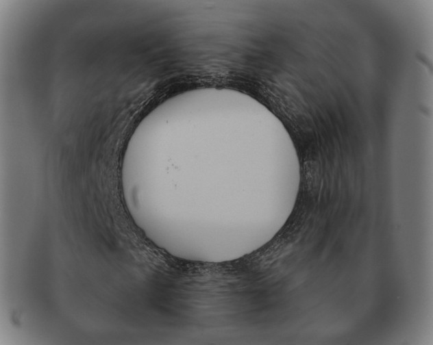 X0000091001057200708241444