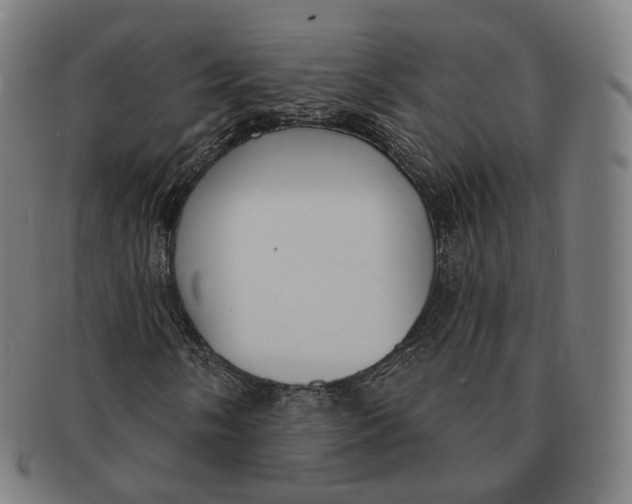 X0000091001058200708241444