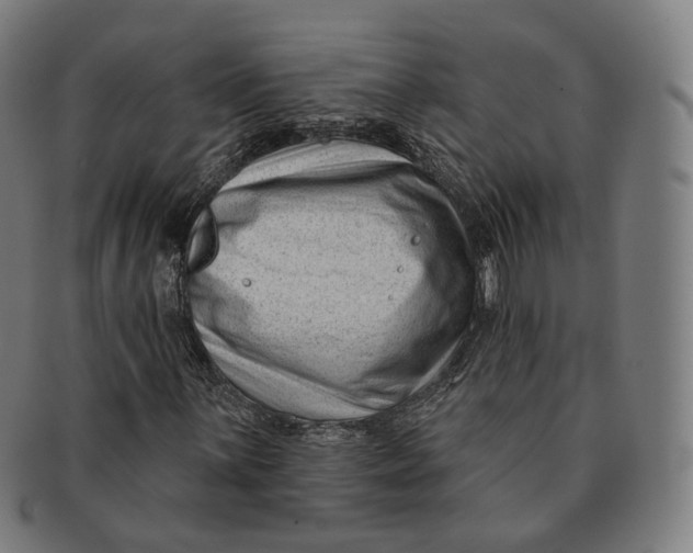 X0000091001059200708241444