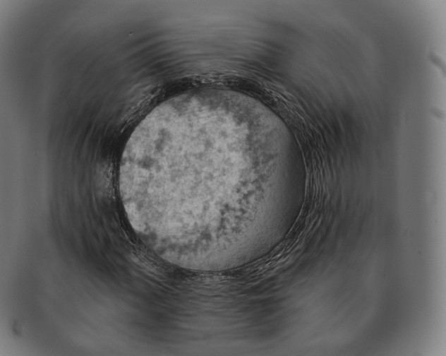 X0000091001060200708241444
