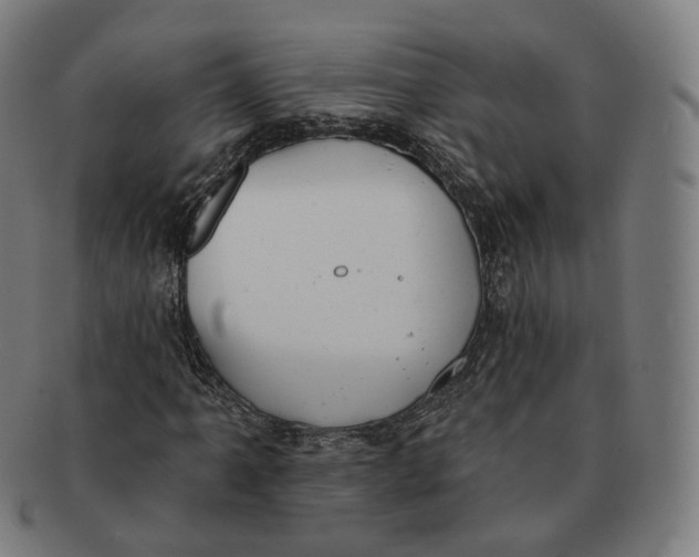 X0000091001061200708241444
