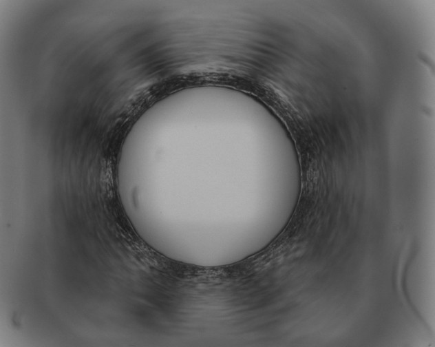 X0000091001062200708241444