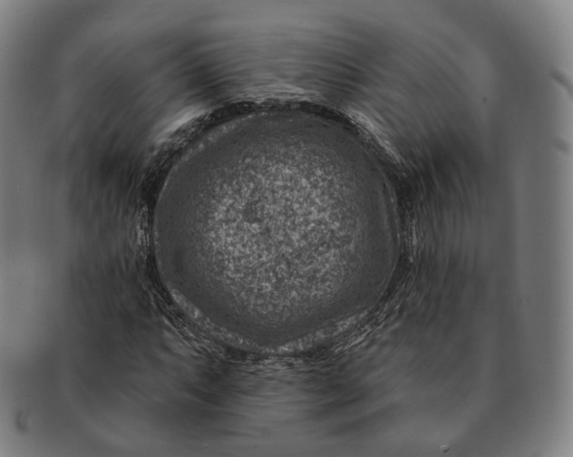 X0000091001063200708241444