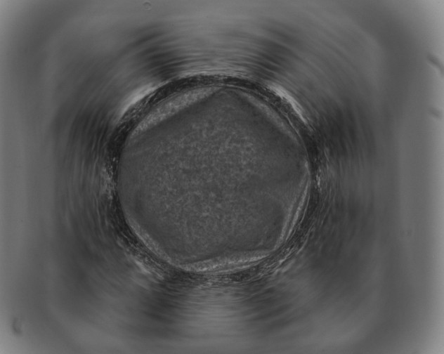 X0000091001064200708241444