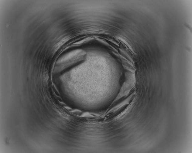 X0000091001065200708241444