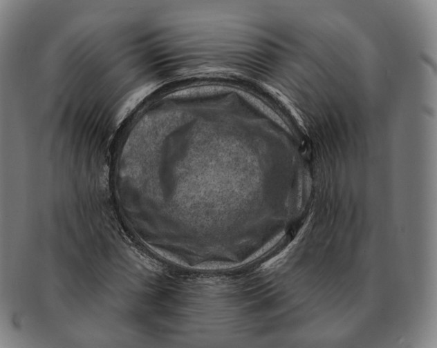 X0000091001066200708241444