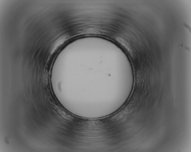 X0000091001067200708241444