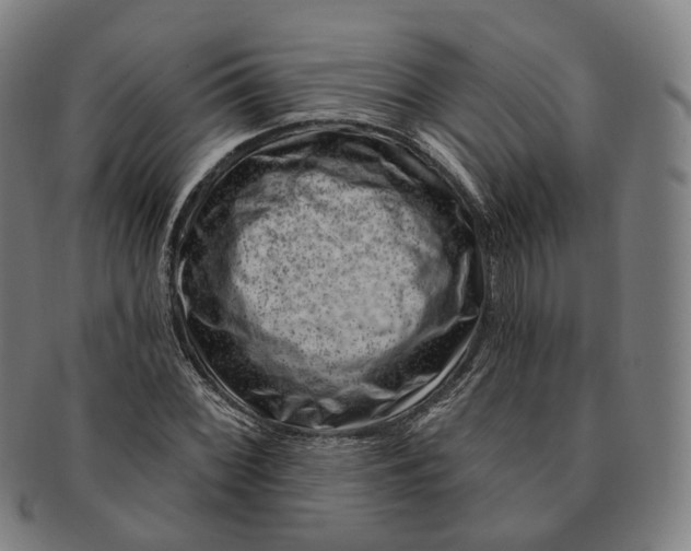 X0000091001068200708241444