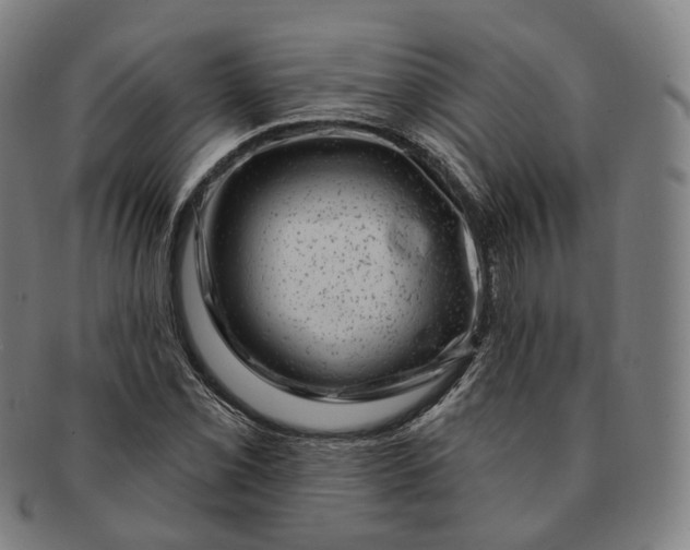 X0000091001069200708241444
