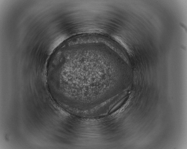 X0000091001071200708241444