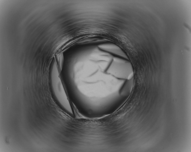 X0000091001073200708241444