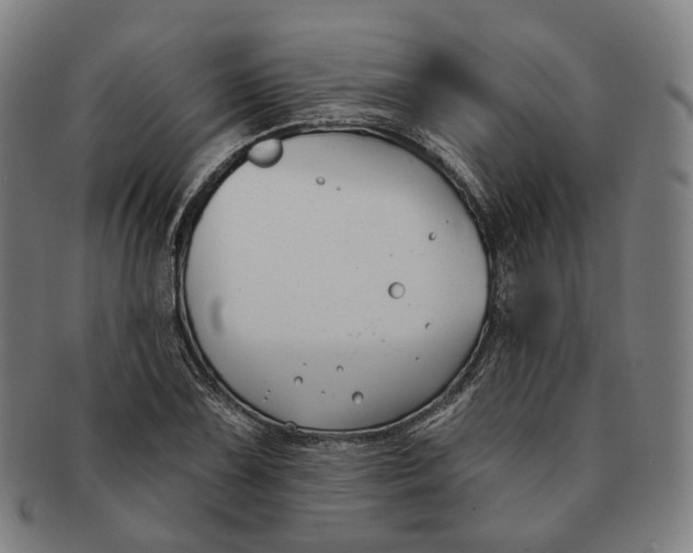 X0000091001075200708241444