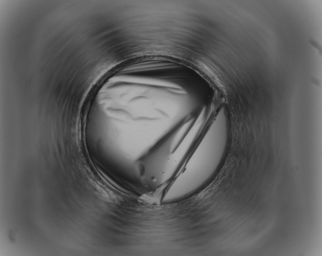 X0000091001076200708241444