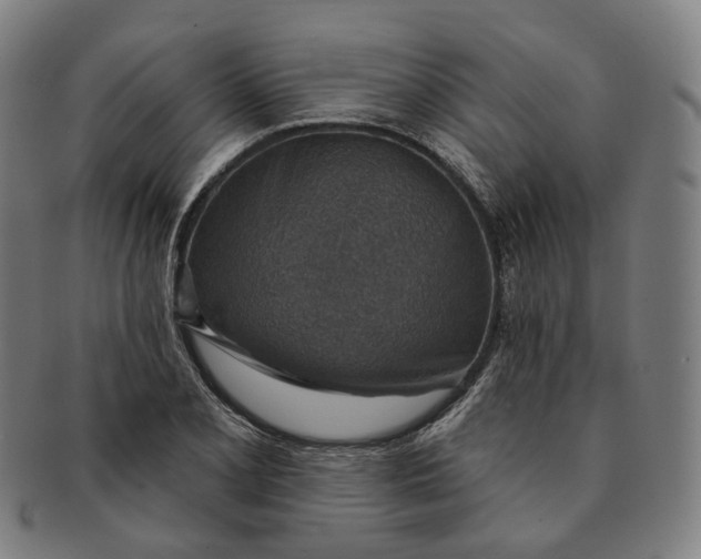 X0000091001077200708241444
