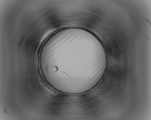 X0000091001078200708241444