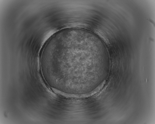 X0000091001079200708241444