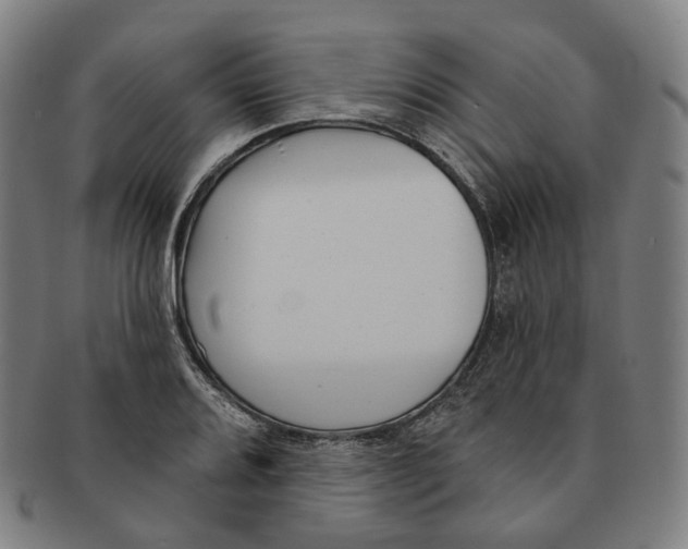 X0000091001080200708241444
