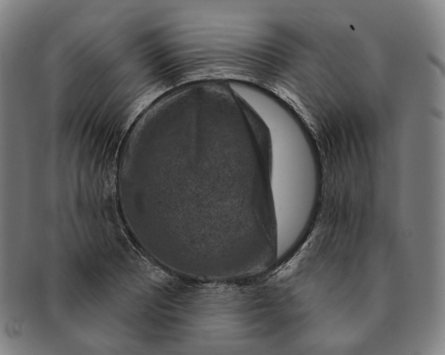 X0000091001081200708241444