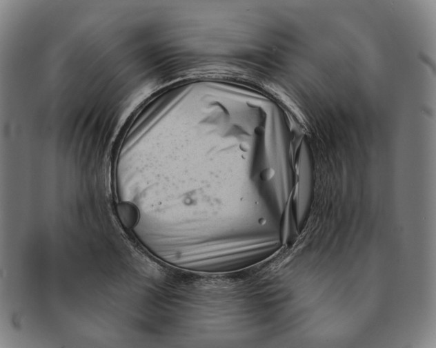 X0000091001083200708241444