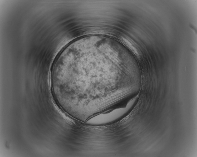 X0000091001084200708241444