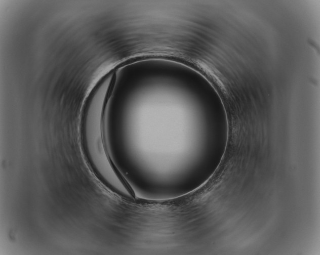 X0000091001085200708241444