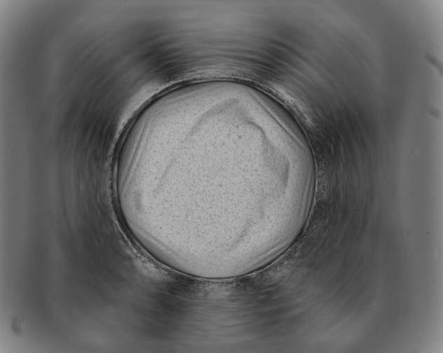X0000091001086200708241444
