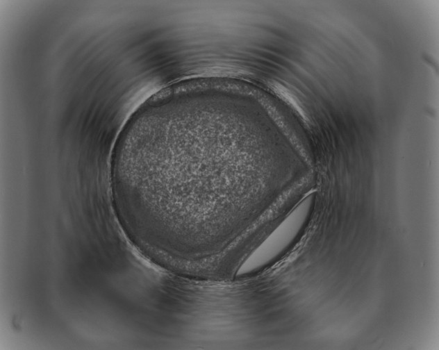 X0000091001087200708241444