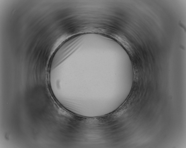 X0000091001094200708241443