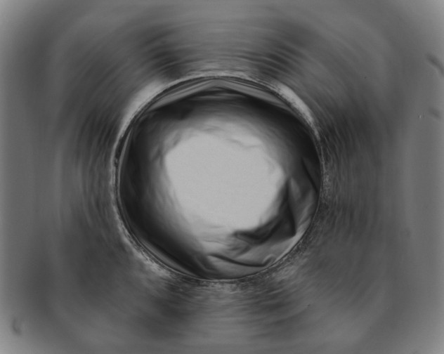 X0000091001096200708241443